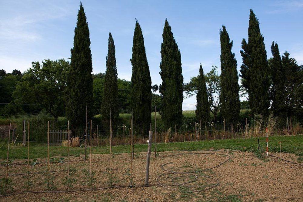 Agriturismo La Topaia Borgo San Lorenzo Exterior photo